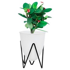 【德利生活】桌上花盆鐵架 簡約鐵藝花架 桌面盆栽 穩固耐用, 1個, 白色, M
