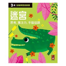 風車圖書 全腦開發遊戲書：三歲迷宮, 思考專注力手腦協調