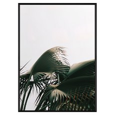 盛夏時分, 59.4 x 42cm, 黑色