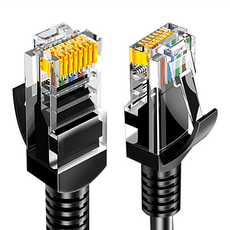 山澤 Cat.5e 無屏蔽高速傳輸八芯雙絞鍍金芯網路線 30M, 1條, 黑色