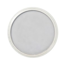 PANPASTEL 軟質藝術家盤粉彩餅 920.5 銀色, 1色, 1個