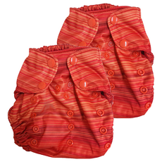 Smart Bottoms 防水尿布兜，100%PUL防水層聚酯，成長型 (4.5 - 16公斤), Horizon, 2件