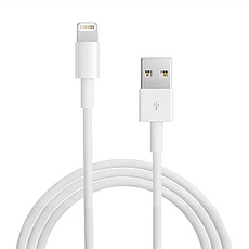 iBRIDGE 蘋果 Lightning 副廠線 1m 適用iPhone iPad, TPE IBA001, 1個