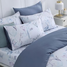 鴻宇 美國棉300織薄被套 180x210CM 台灣製, 卡德爾