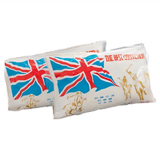 英國品牌 抗菌Q彈壓縮枕, 1顆, 45ｘ75cm