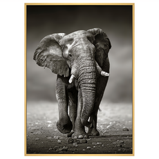 菠蘿選畫所 象 古老智慧 59.4 x 42cm 動物掛畫, 木色