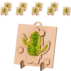 minhwashop 苔蘚相框仙人掌DIY套組, 原木色 + 綠色, 10套