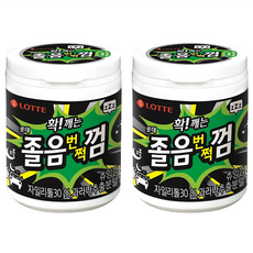 LOTTE 樂天 提神口香糖 含木糖醇30%, 87g, 2罐