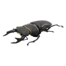 迷你動物造型沙包娃娃，聚脂纖維，棉、塑膠，適用年齡：6歲以上, 鍬形蟲, 1個