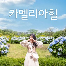 [제주] ★5월특가★ 카멜리아힐