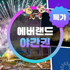 [용인] ★특가★ 에버랜드 야간이용권