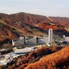 [평창] [본사직영] 휘닉스 리조트 평창, 쿠팡 단독 특가! 겨울 시즌 얼리버드 오픈!