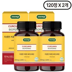 자생 커큐민 앤 바이오페린, 240정, 2개