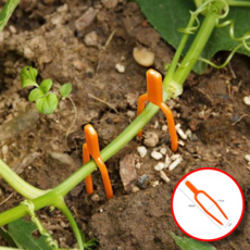 원예용 식물 과일 덩쿨 고정핀 50개세트 줄기 지지대 고정대 원예작묵 고정대, 본상품선택, 1개