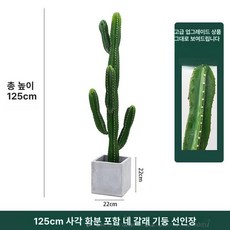 가정용 상업용 소품 제품 조경용품 선인장 인테리어 화이트팟 장식 거실꾸미기 실내 홈가드닝 인조 화분, 9.1.25m 4손+사각시멘트분지