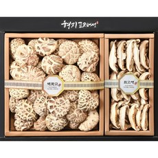 형지표고버섯 백화고 명품 1호 표고버섯 선물세트, 1개