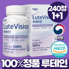 자연온정 루테비전 LUTE VTCR 빌베리 블루베리 루테인 정품, 2개, 120정