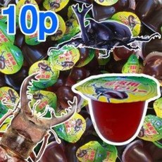 사무라이 곤충 젤리 16g x 10개 장수풍뎅이 사슴벌레