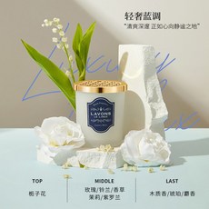 라본 라봉 자동차 고체 실내 고바야시 150G, 2 2025년 9월까지 라이트 럭셔리 블루스 150g, 1