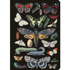 (영문도서) Vintage Butterflies Journal / Notebook / Diary - Lined Pages Paperback, New Seasons, English, 9781639387083
