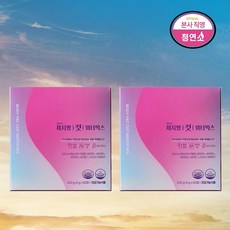 체지방을 흘려보내는 다이어트워터 체지방컷 워터믹스 에너지증가 혈당낮추는 제로슈가 탄수화물컷팅제 한달분 60포 (하루 2포), 2박스, 240g