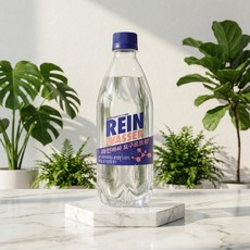 라인바싸 요구르트향 500ml X 40입 PET 제로칼로리, 40개