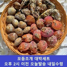 모듬조개세트 모듬조개구이세트 모듬조개찜세트, 1개, 대박세트 2kg(1~2인)