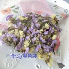 乾燥花花材 細小星辰花 手作香皂 姐妹禮 手作蠟燭 聖誕節 擴香磚 蠟片 除濕 防蚊 花圈 裝飾 橙片, 綜合色