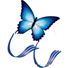 3D 연날리기세트 대형연 나비연 얼레세트, 블루스카이, 1개