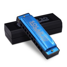 BUZOO 입문용 학습용 하모니카 10홀 하모니카 c키 10홀, 1개, 푸른 색