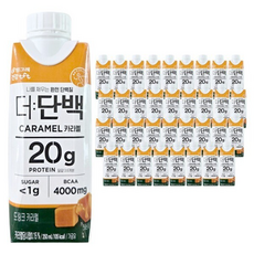 빙그레 더단백 프로틴 드링크 캬라멜, 36개, 250ml