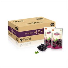 담터 담터 복분자 감식초 믹스 130mlx30개 5년숙성 음료, 130ml, 2개