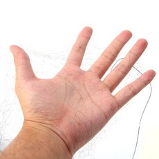 차양그물 차광막 6x2m 안티 버드 방지 그물 메쉬 과일 자르기 식물 나무 정원, [02] 6x2m, 02 6x2m