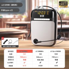 索愛S318小蜜蜂擴音器工廠批發一件包郵教師專用無線耳麥克風喇叭, 1個, S318有線版【升級Type-C】黑色