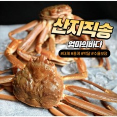 박달 자숙 영덕 대게 홍게 2kg [선주직송], 2.(찜)일반형홍게2kg내외 5-7마리, 1개
