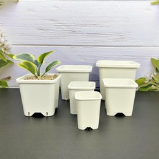 특허 받은 사각 플라스틱 화분 정사각 플분 화이트 (국내), 1개, 특 사각 화이트