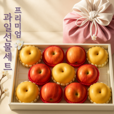 [오늘온] 과일선물세트 6kg 명품 사과배 프리미엄 선물용 백화점용 고급 혼합선물세트, 1세트