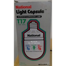National T17 燈泡, 晝光色 BFT17EX E26/D, 1個
