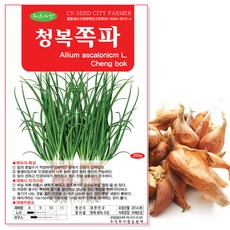 세인화분 국산 2025 예천 쪽파종자 쪽파 씨앗 종구 400g, 1개