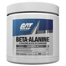 German American Technologies β-丙胺酸 必需品, 200g, 1個