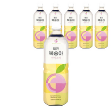 웰진 복숭아 아이스티 과일원액 희석음료, 1L, 6개