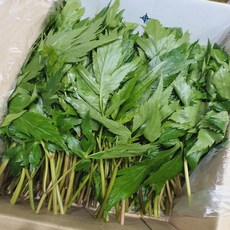 [녹음상회]국내산 당귀 잎, 1개, 1kg