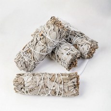 白色鼠尾草淨化空間能量，帶來清新舒暢的氛圍, 白, 白鼠尾草