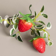 프루티커튼집게 10cm 조화 인테리어, 6개, 딸기
