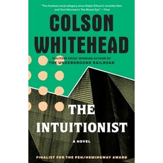 (영문도서) The Intuitionist Paperback, Anchor Books, English, 9780385493000