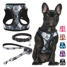 SCENEREAL Valentines 강아지 하네스 칼라 및 목줄 세트 스텝 인 당김 없는 부드러운 메시 애완동물 하네스 소형 중형견 고양이용 방해가 되지 않는 반사 조끼, 블랙, 1