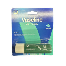 바세린 립테라피 립밤 스틱형 민트, mint, 4.8g, 1개