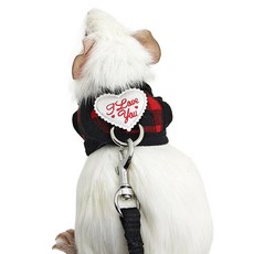 寵物胸背帶 適用於豚鼠龍貓刺蝟雪貂兔子荷蘭豬 附牽引繩, 1個, 紅格M號, 紅格