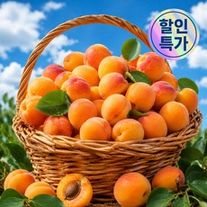 [농장직송] 국내산 꿀당도 김천 살구, 1박스, 살구 250g 맛보기