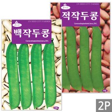 세인화분 국산 적작두콩 백작두콩 씨앗 2종 소포장 - 씨 작두콩 콩, 1개